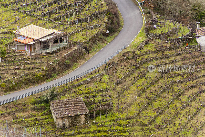 Ribeira sacra葡萄园路和酒窖，加利西亚，西班牙。